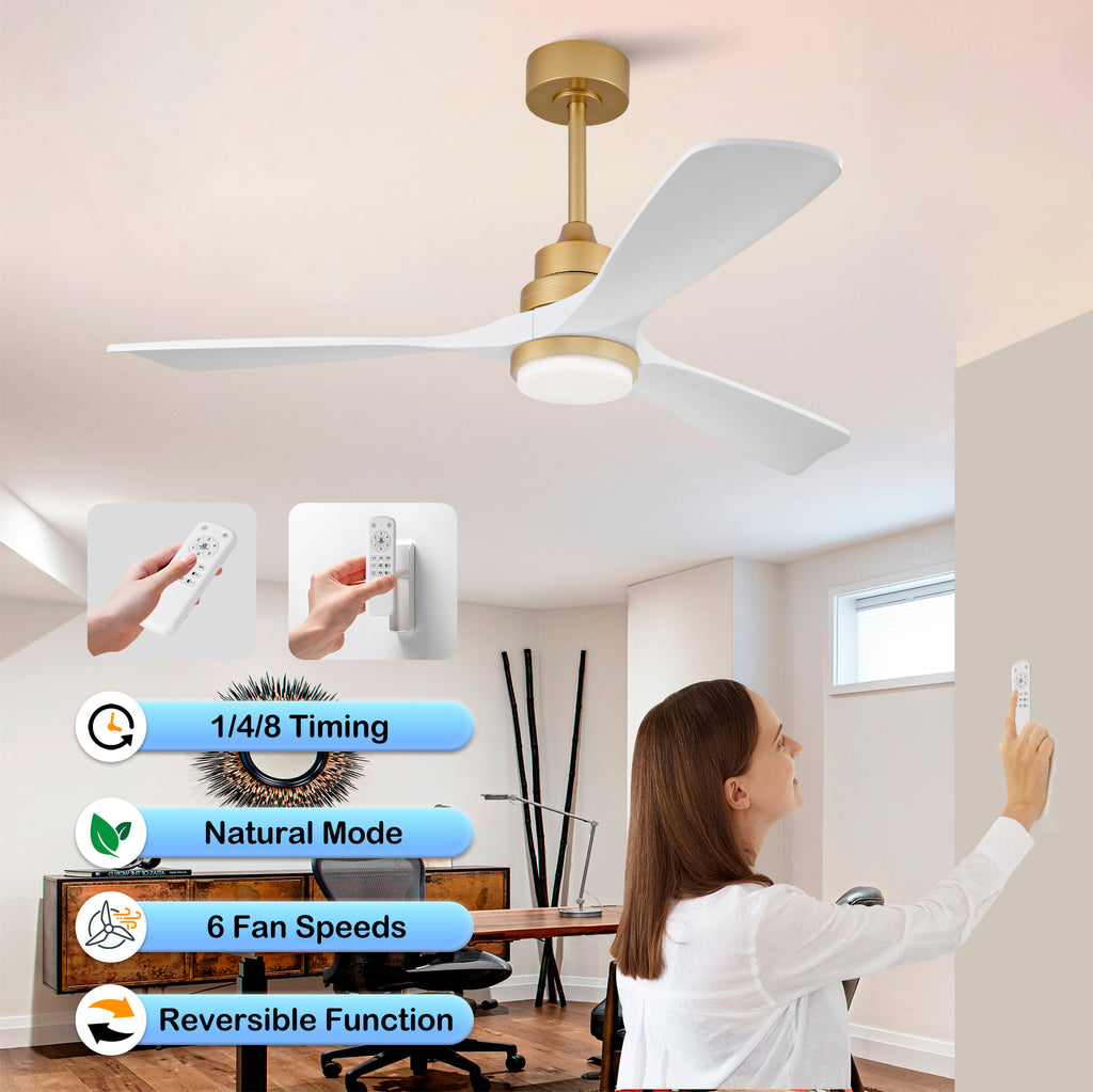 24672048