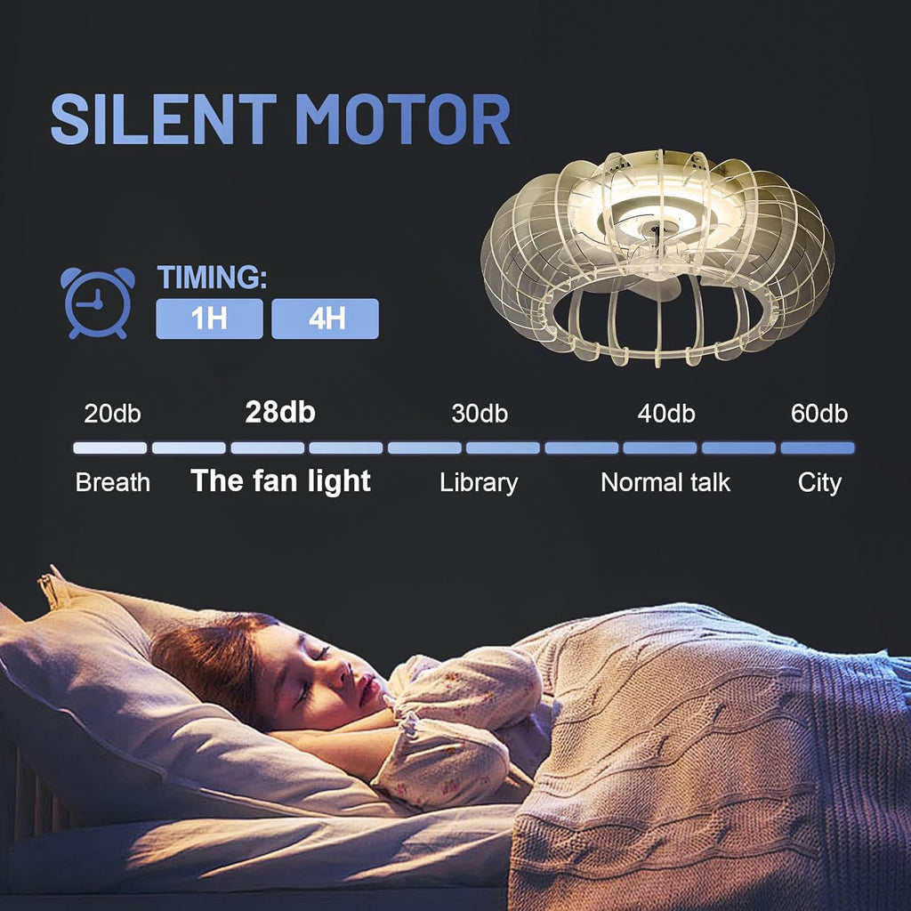 24623602