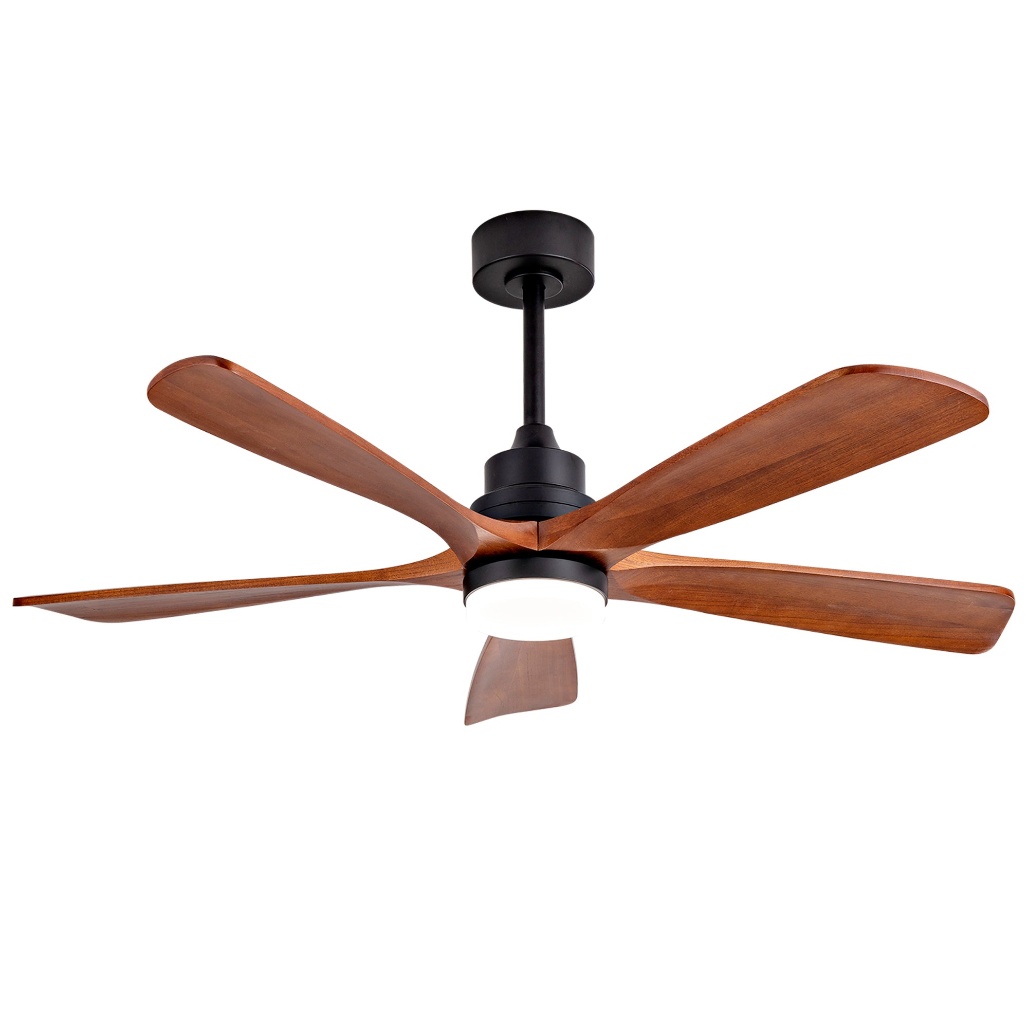24708016
