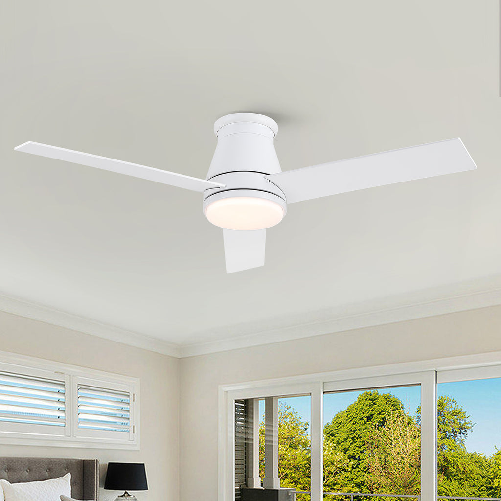 24640144