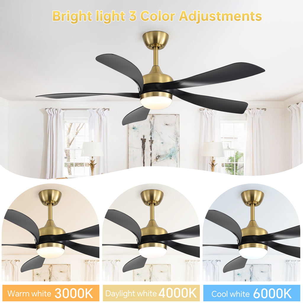 24669804