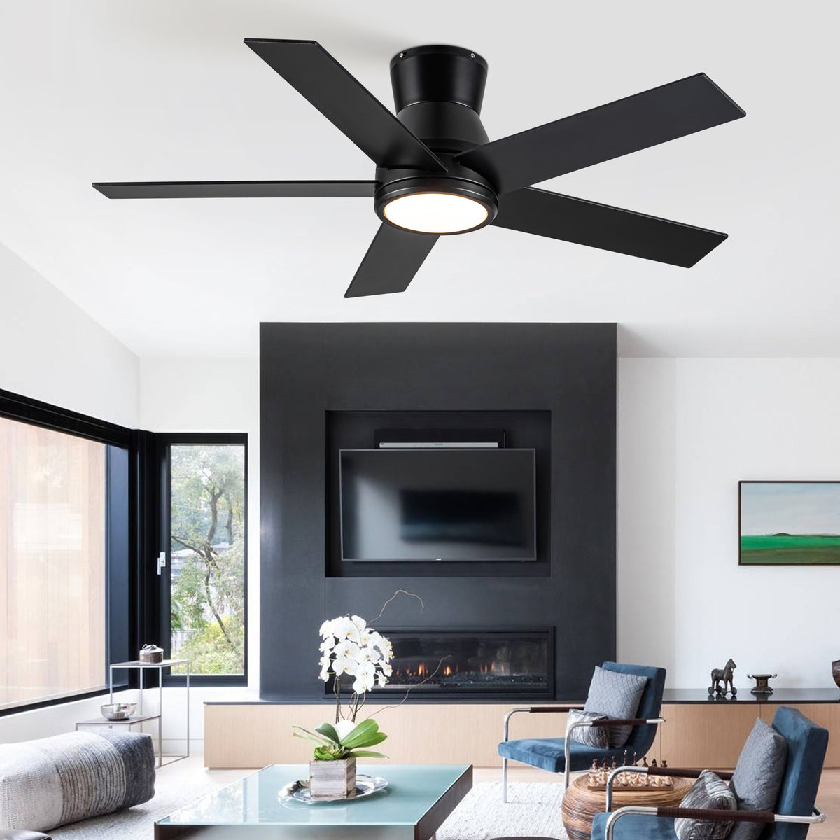 24669864