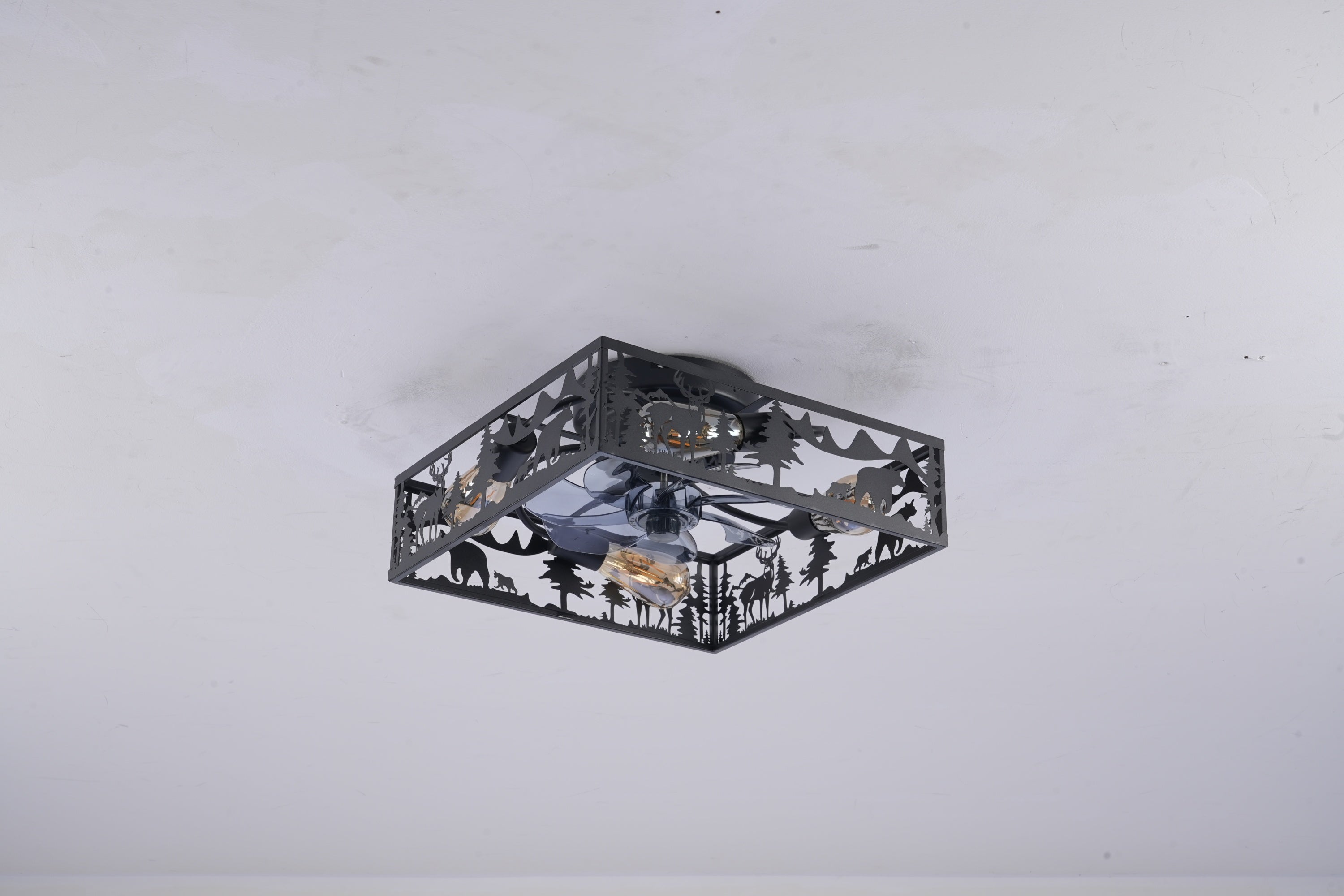 24640213