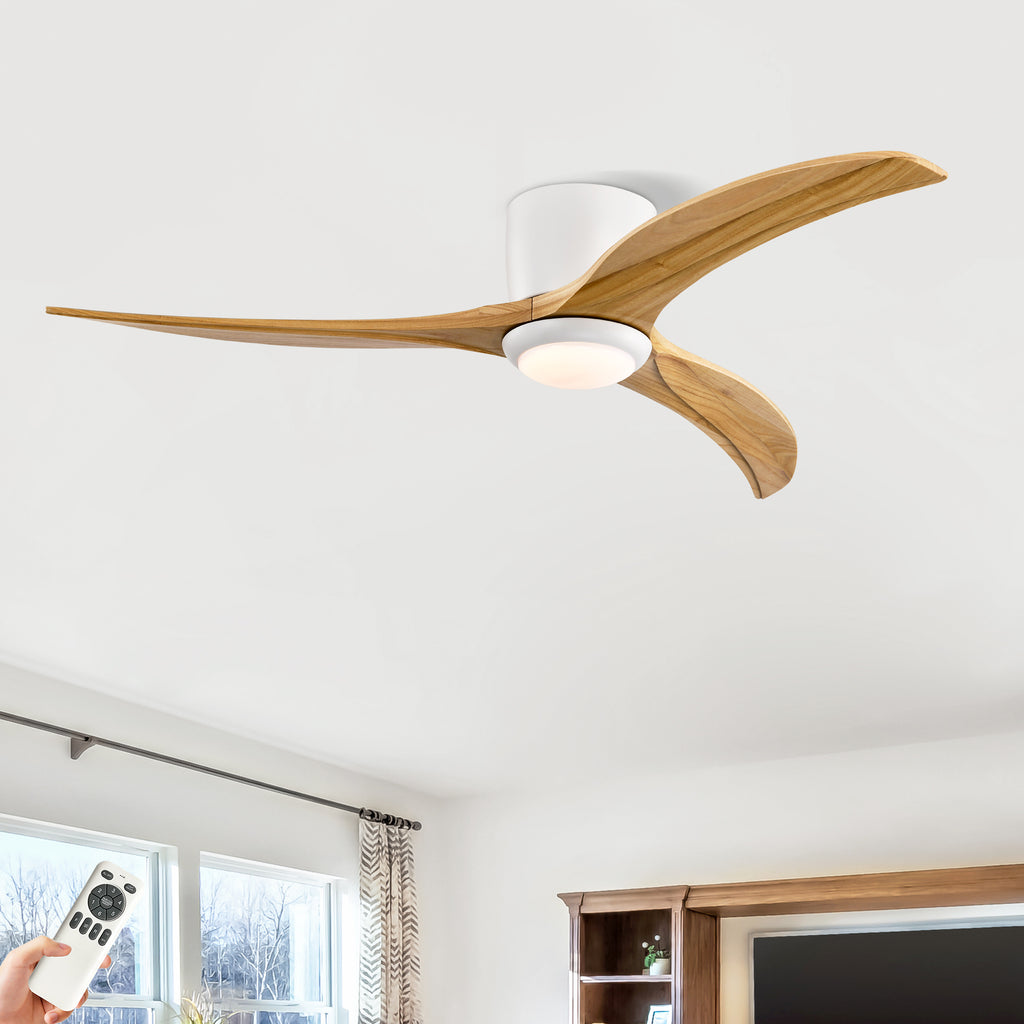 24669250