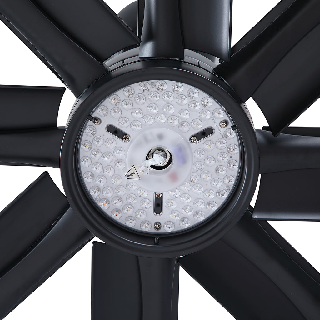 24611304