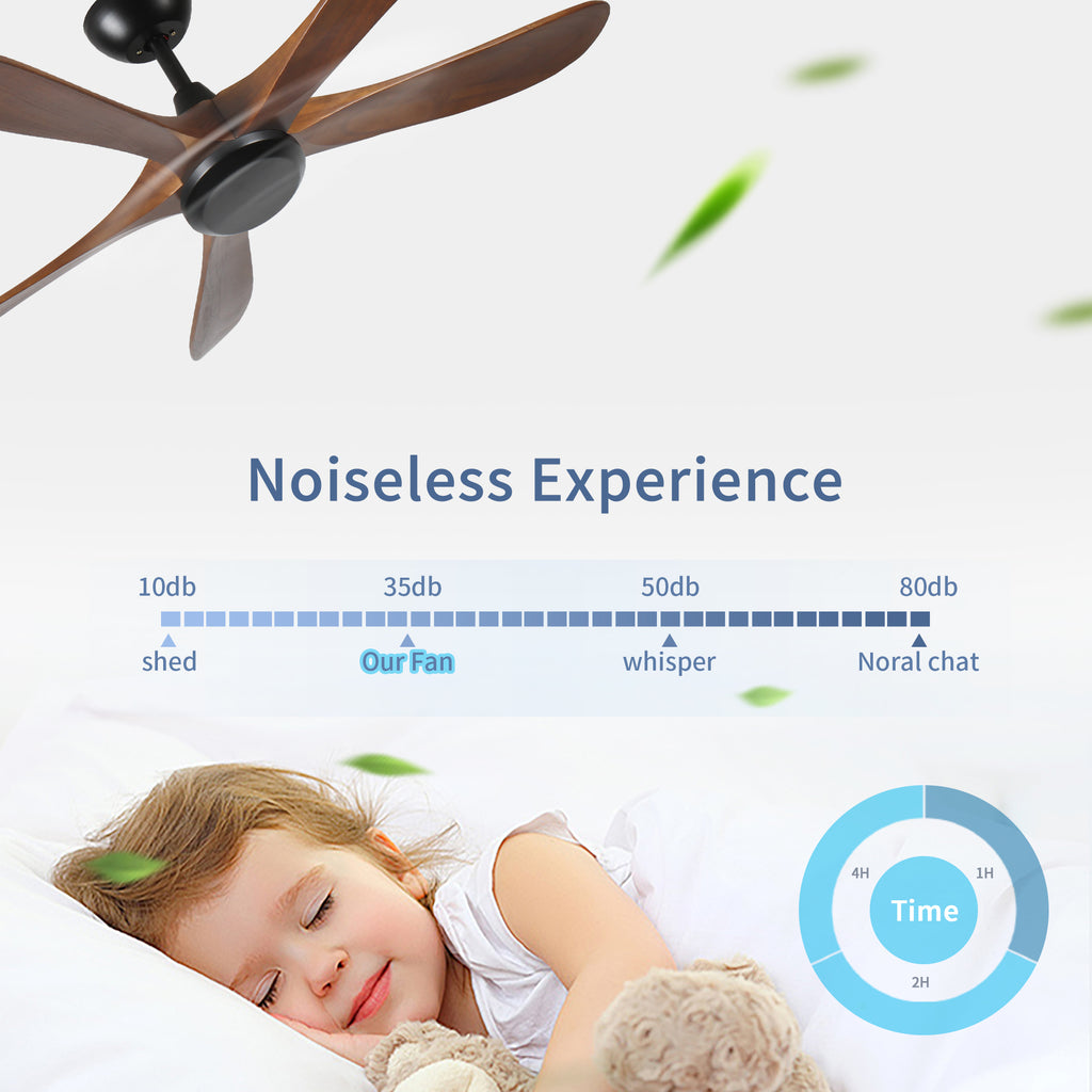 24759096