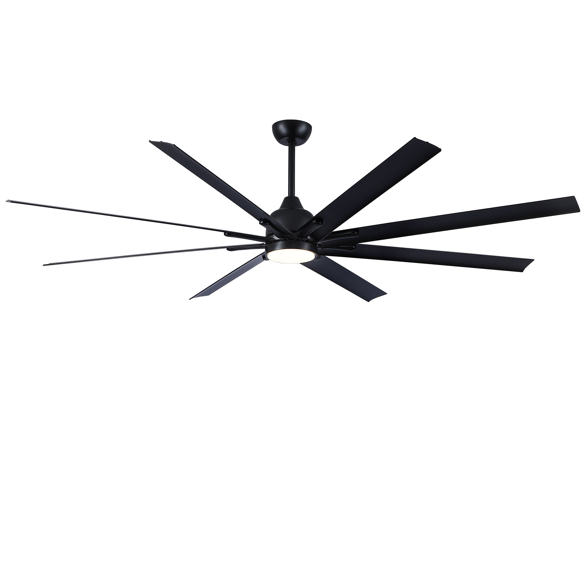 24611308