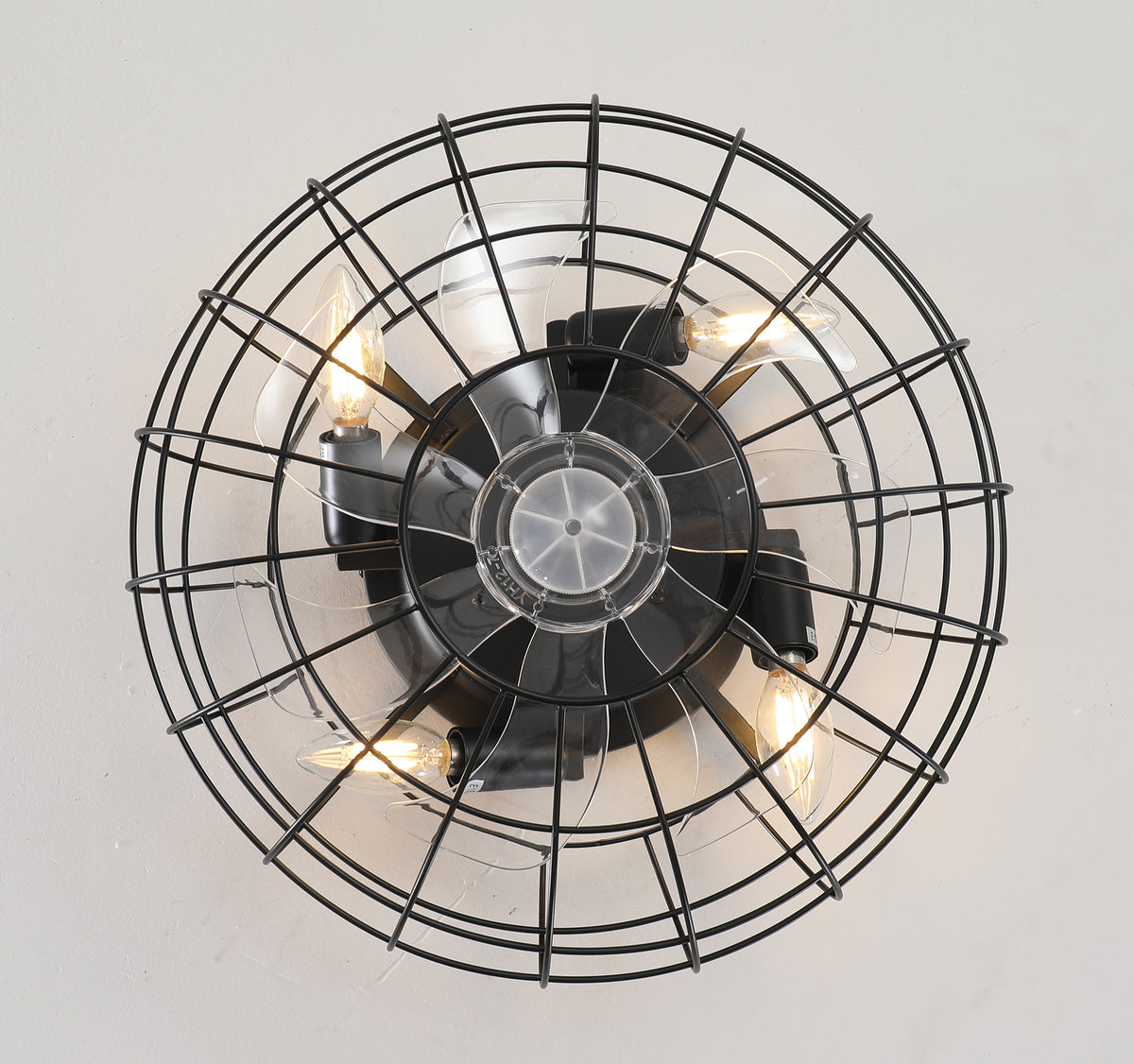 24609703