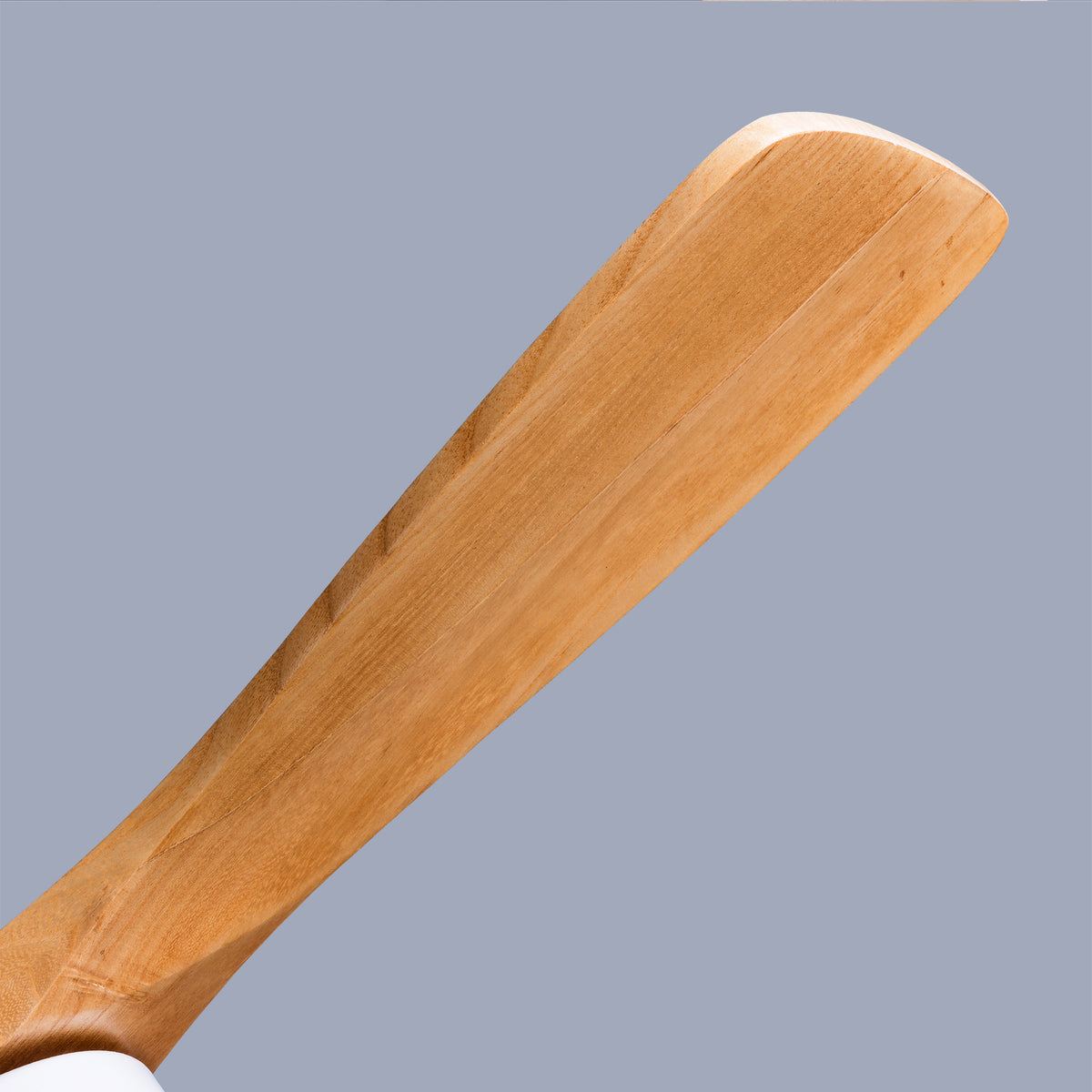 24669069