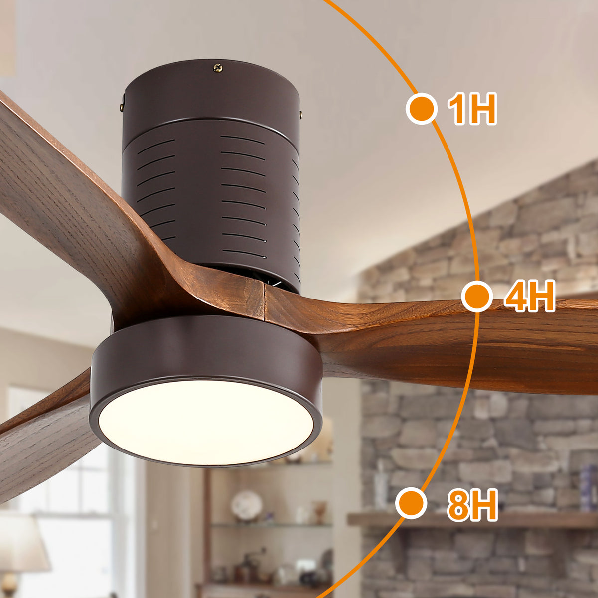 24669754