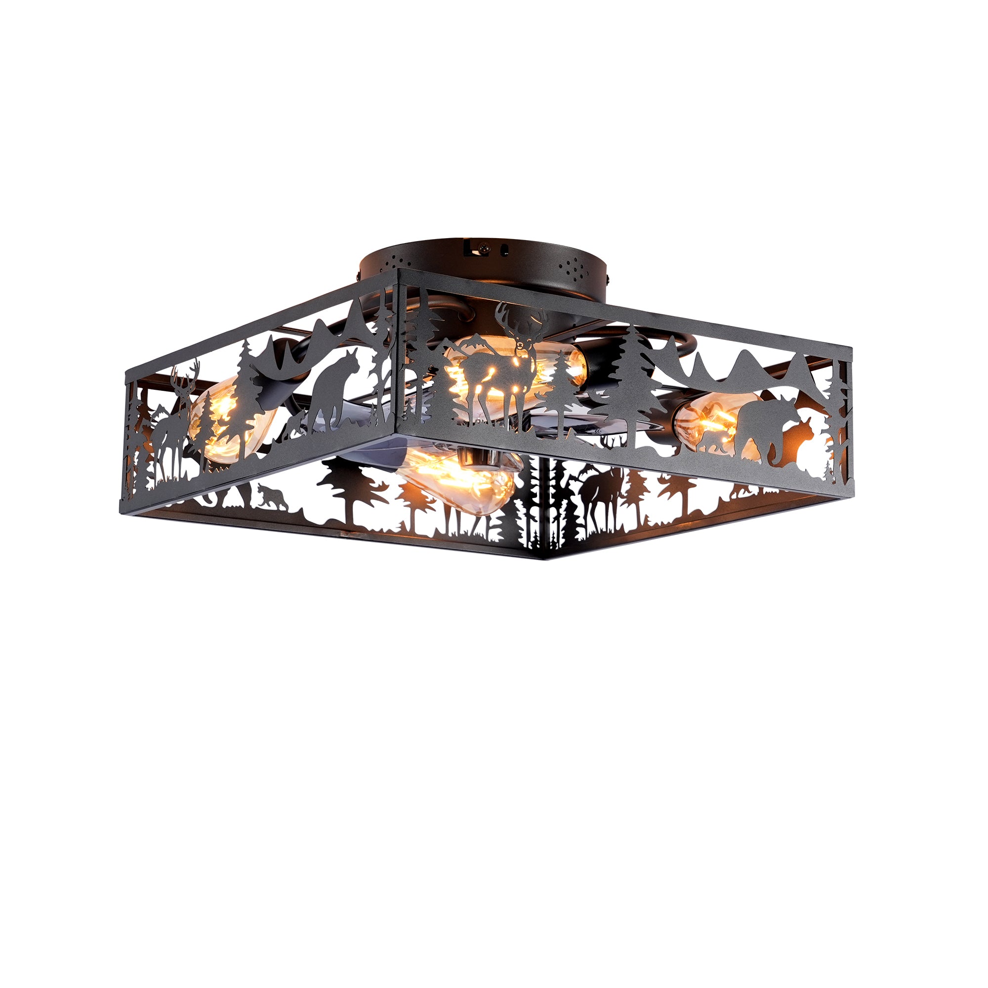 24640197