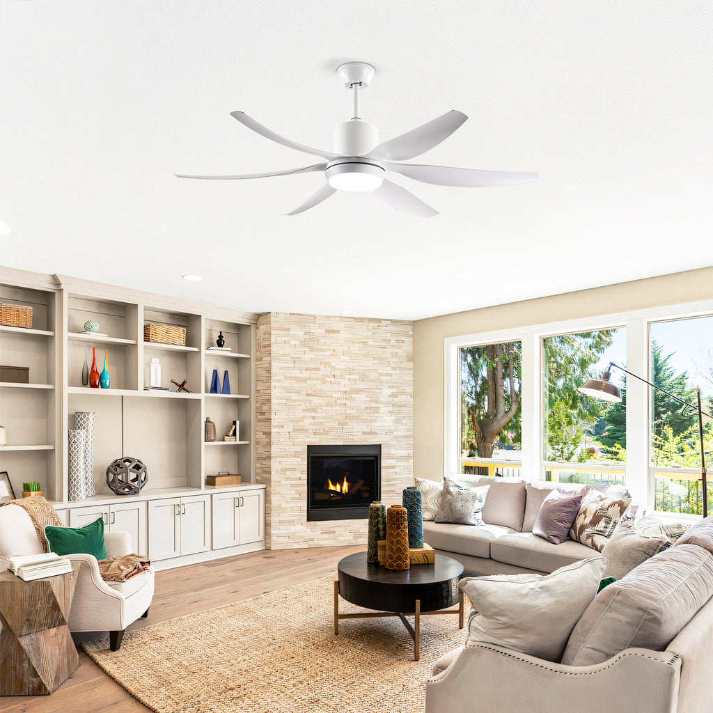 24669315