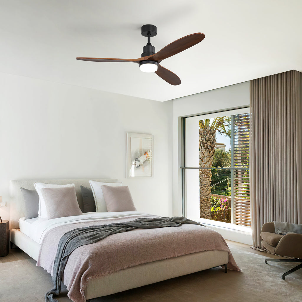 24758989