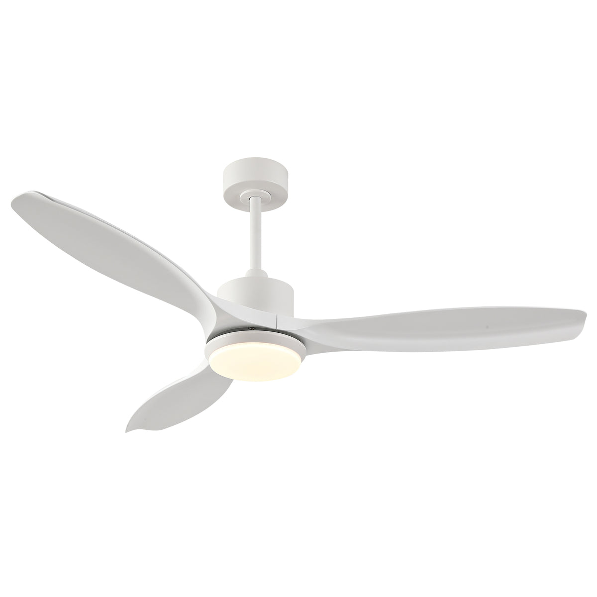 24634125
