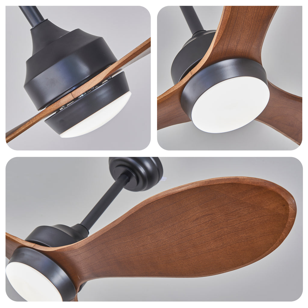 24676033